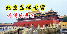 黄色视频啊啊啊啊好疼啊中国北京-东城古宫旅游风景区